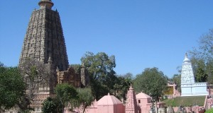 Bodh Gaya: A Hindu Response