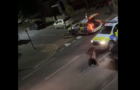 Video : Young Cow Rammed By Police Car Angers UK Public
