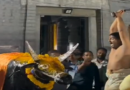 Video : Hindus Starting To Use Artificial Animals For Sacrifice