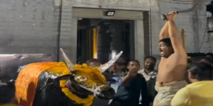 Video : Hindus Starting To Use Artificial Animals For Sacrifice