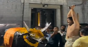 Video : Hindus Starting To Use Artificial Animals For Sacrifice