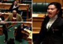 Video : Maori MPs Staged A Haka Protest Against Treaty Bill